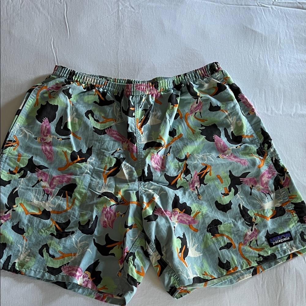 Patagonia Men's Shorts with Colorful Pattern